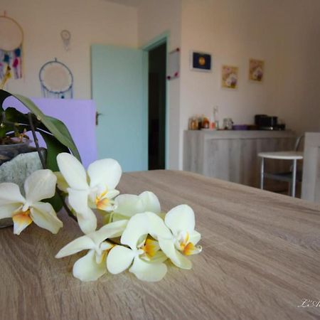 SantʼAntìoco L' Acchiappasogni Bed & Breakfast エクステリア 写真